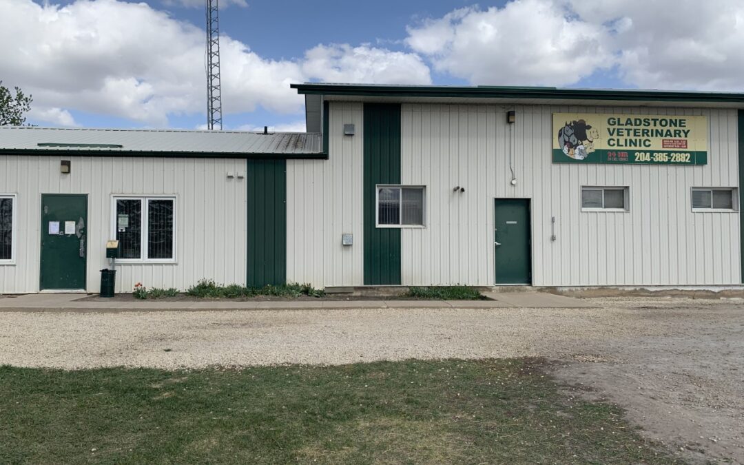 Gladstone Veterinary Clinic always here to help